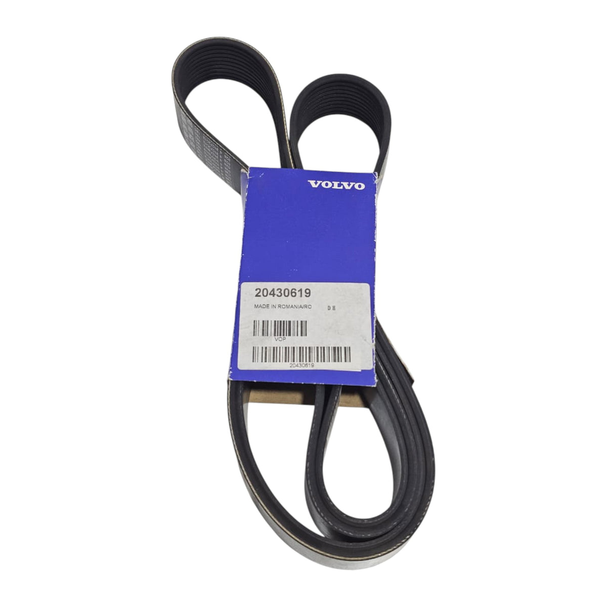 20430619 - V-Ribbed Belt