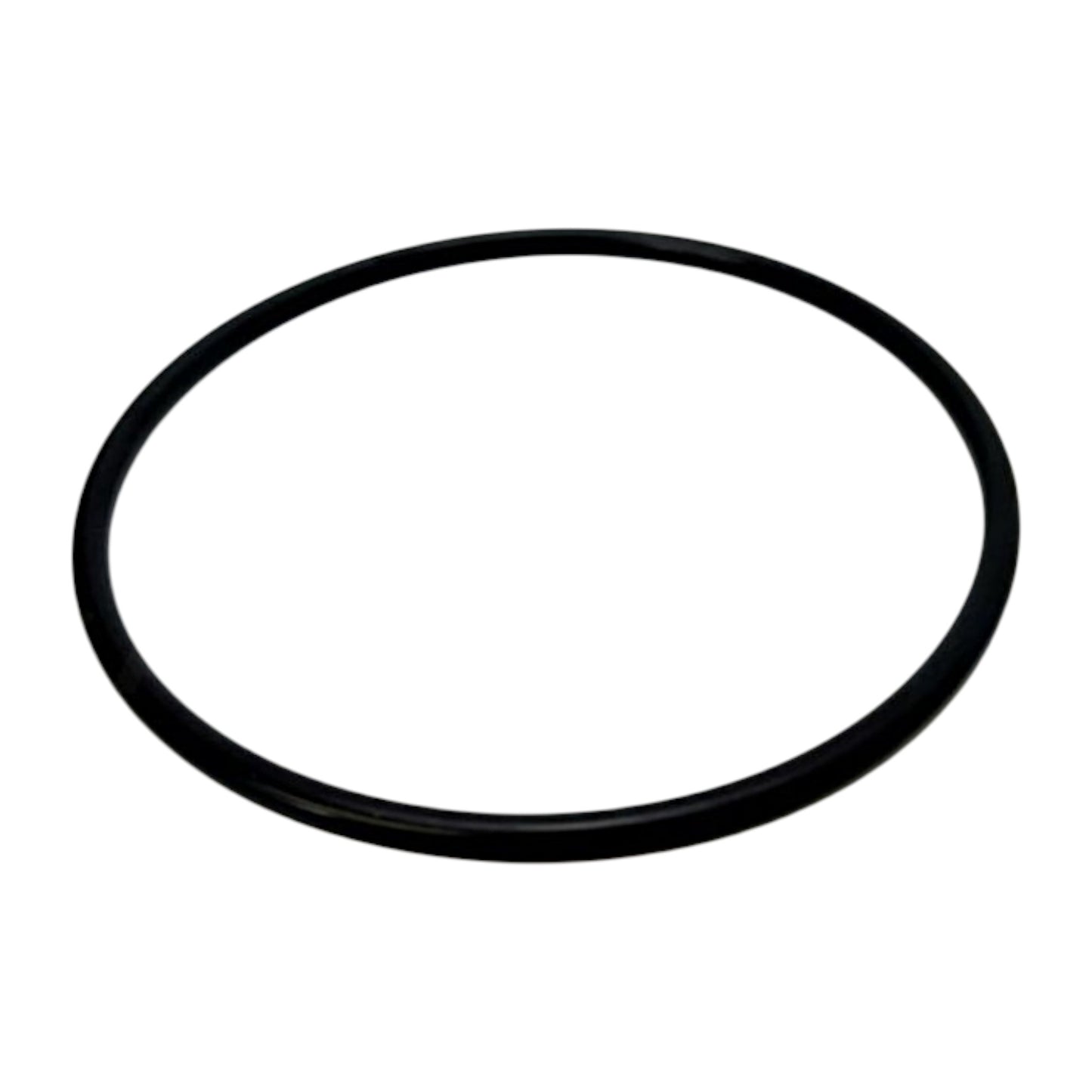 20502536 - O-Ring