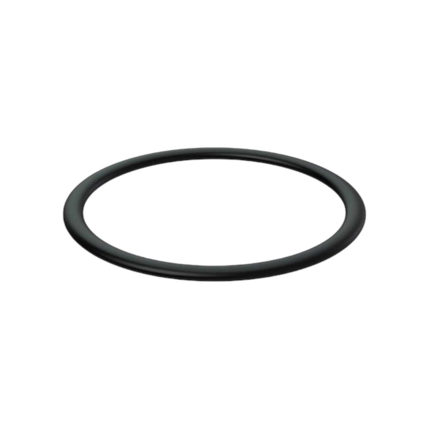 21273476 - O-Ring