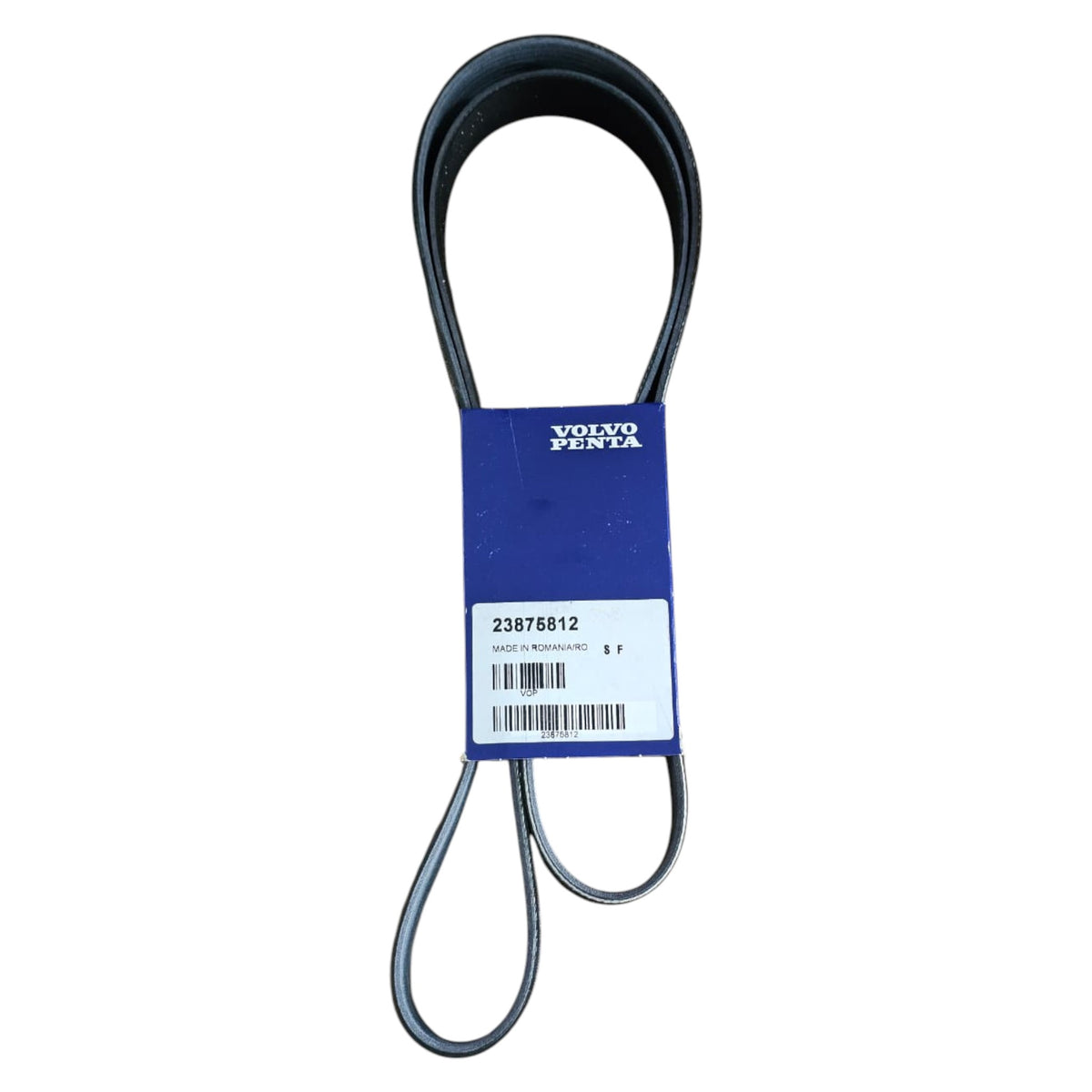 23875812 - V-Ribbed Belt