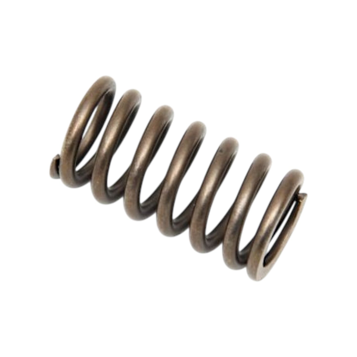 24208879 - Valve Spring
