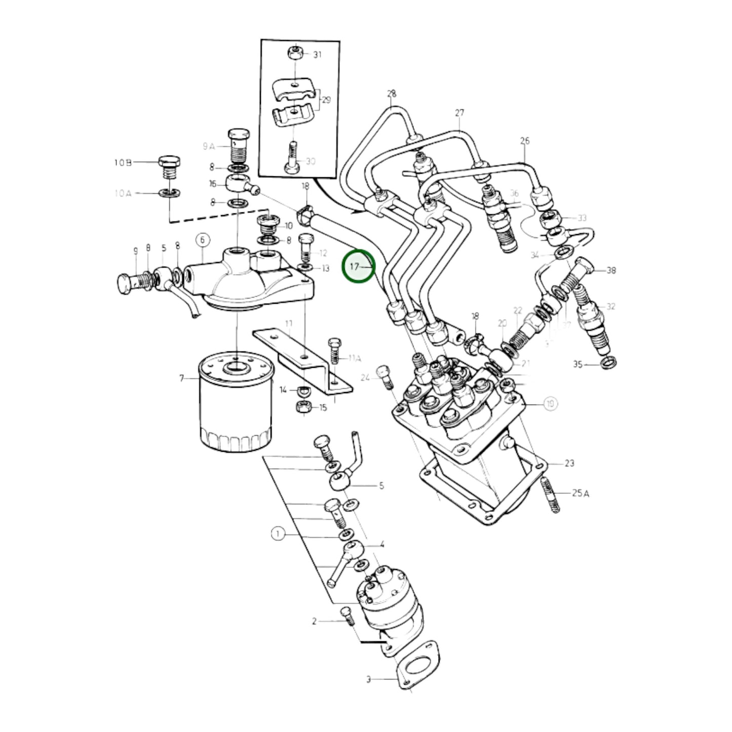 3580601 - Rubber Hose