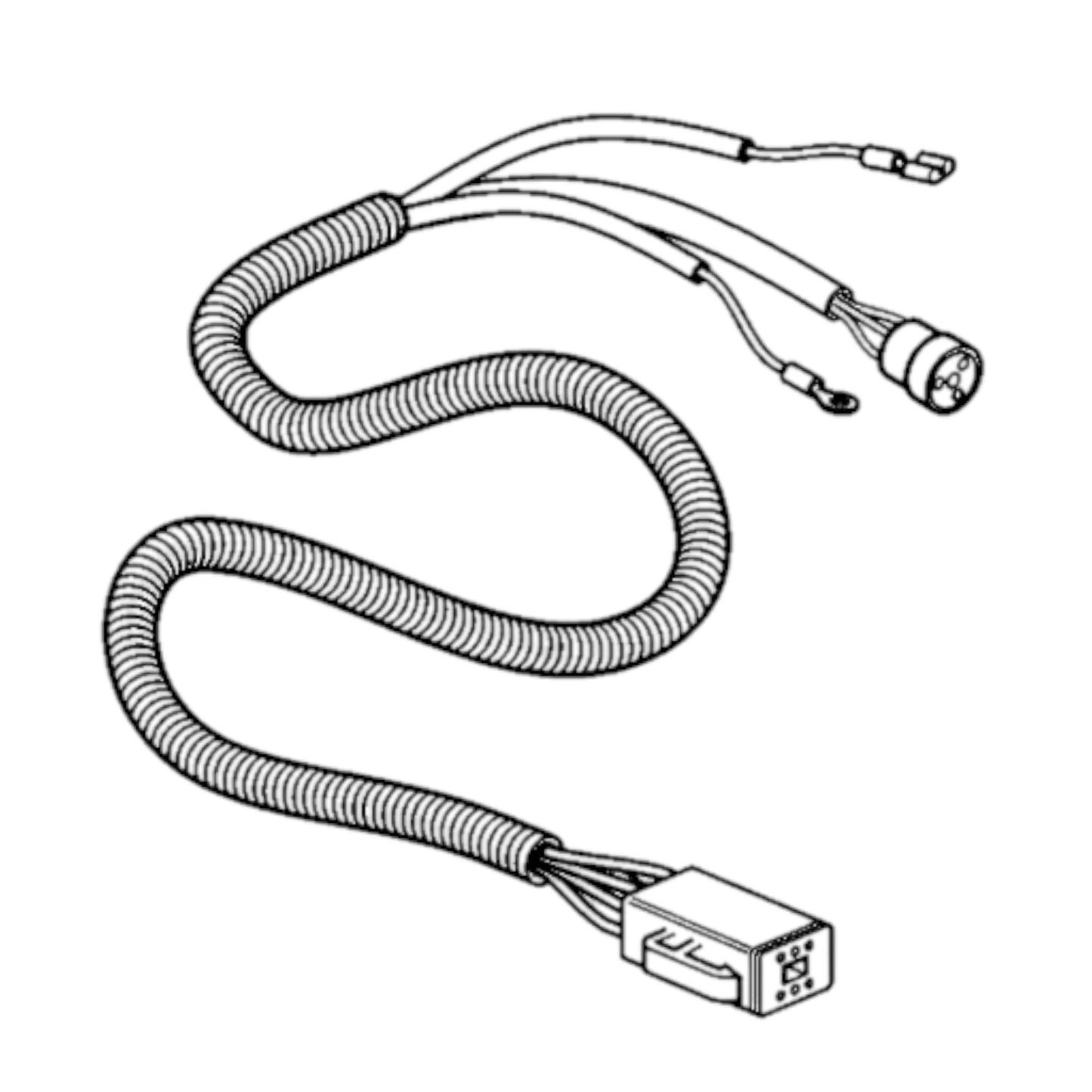 3807228 - Wiring Harness