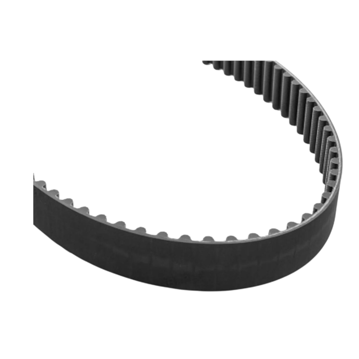 41100787 - Tooth Belt