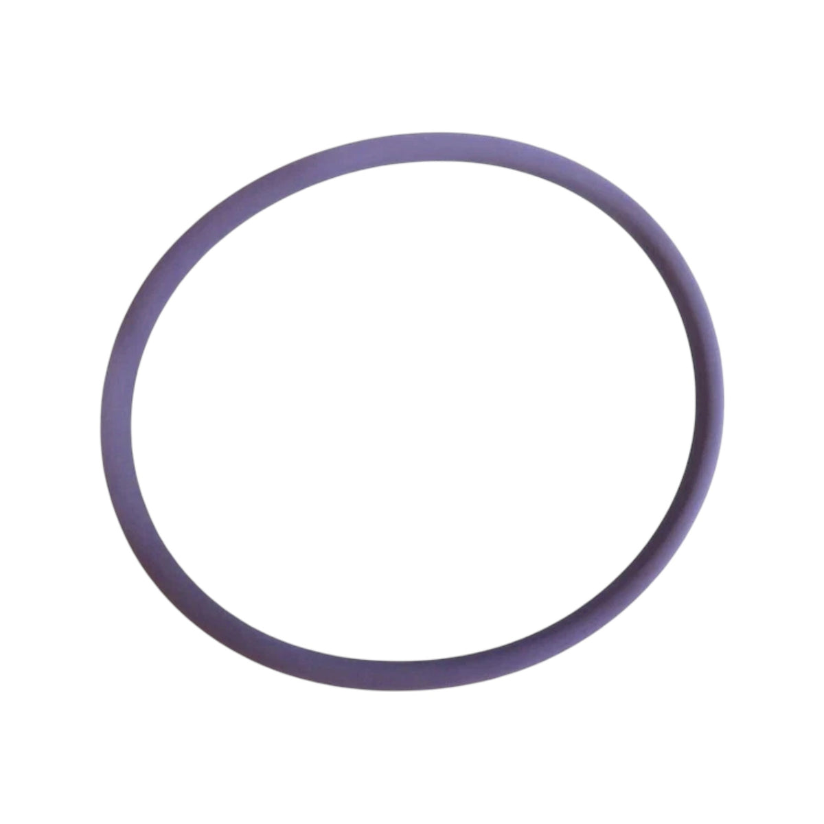 424830 - Sealing Ring