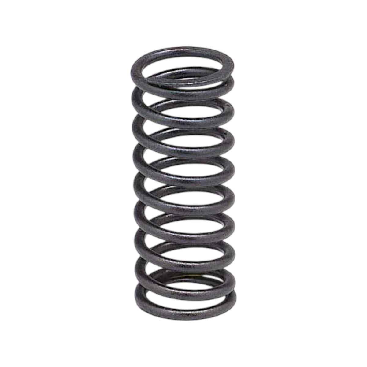 466383 - Valve Spring