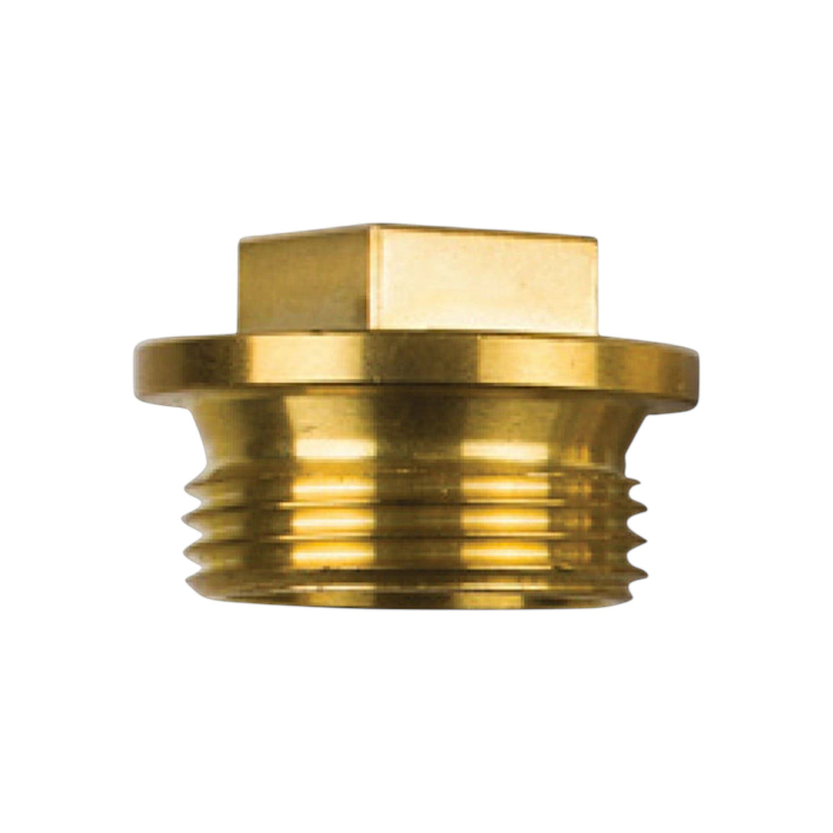 823662 - Plug