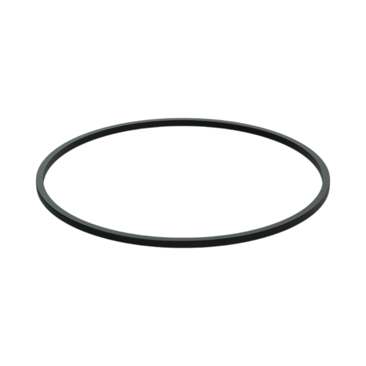843556 - Sealing Ring