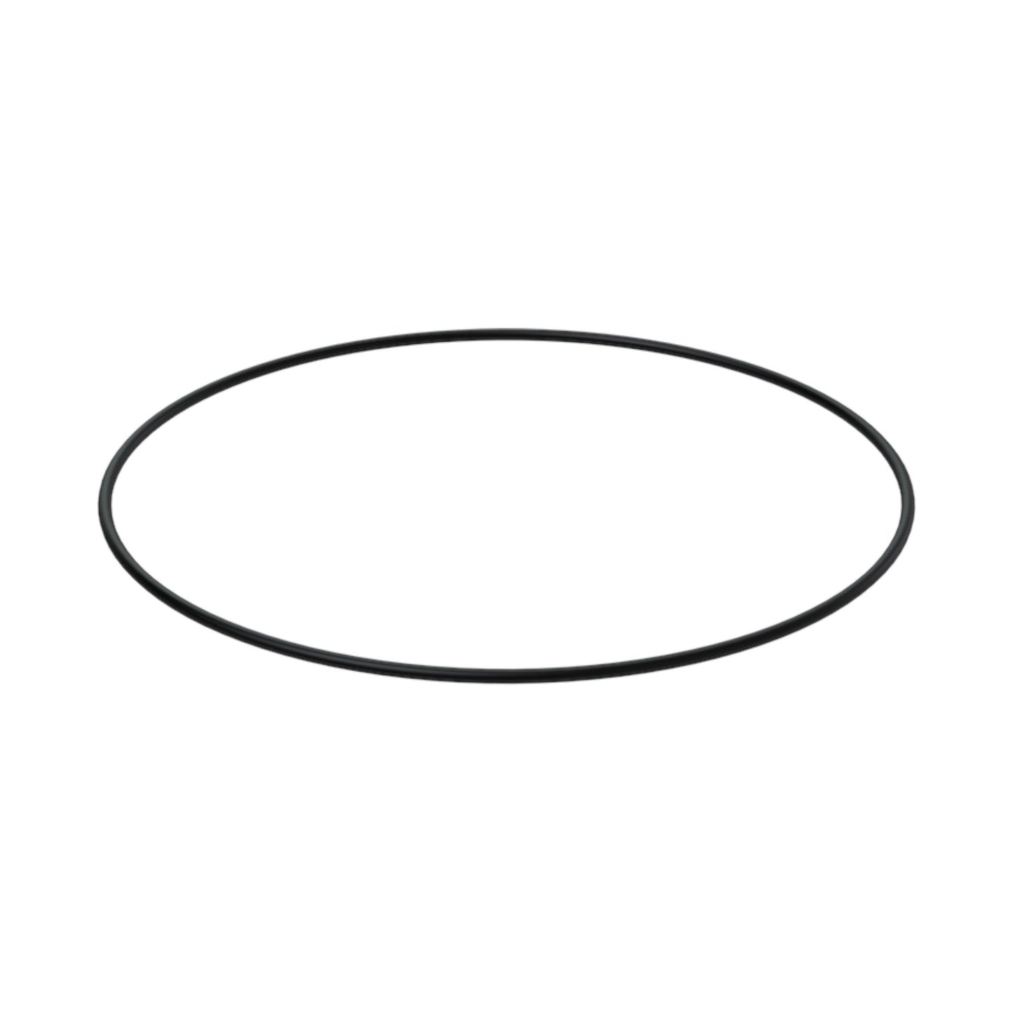 872565 - O-Ring