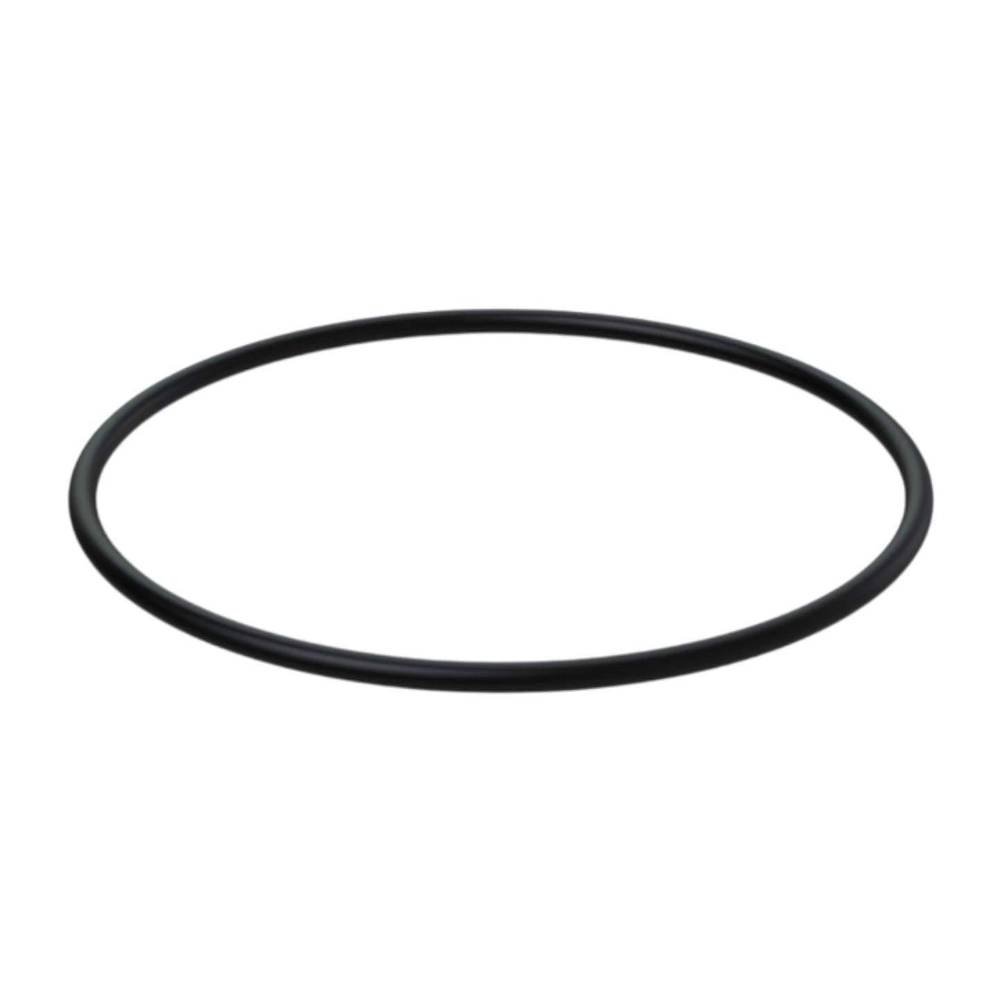 873232 - O-Ring