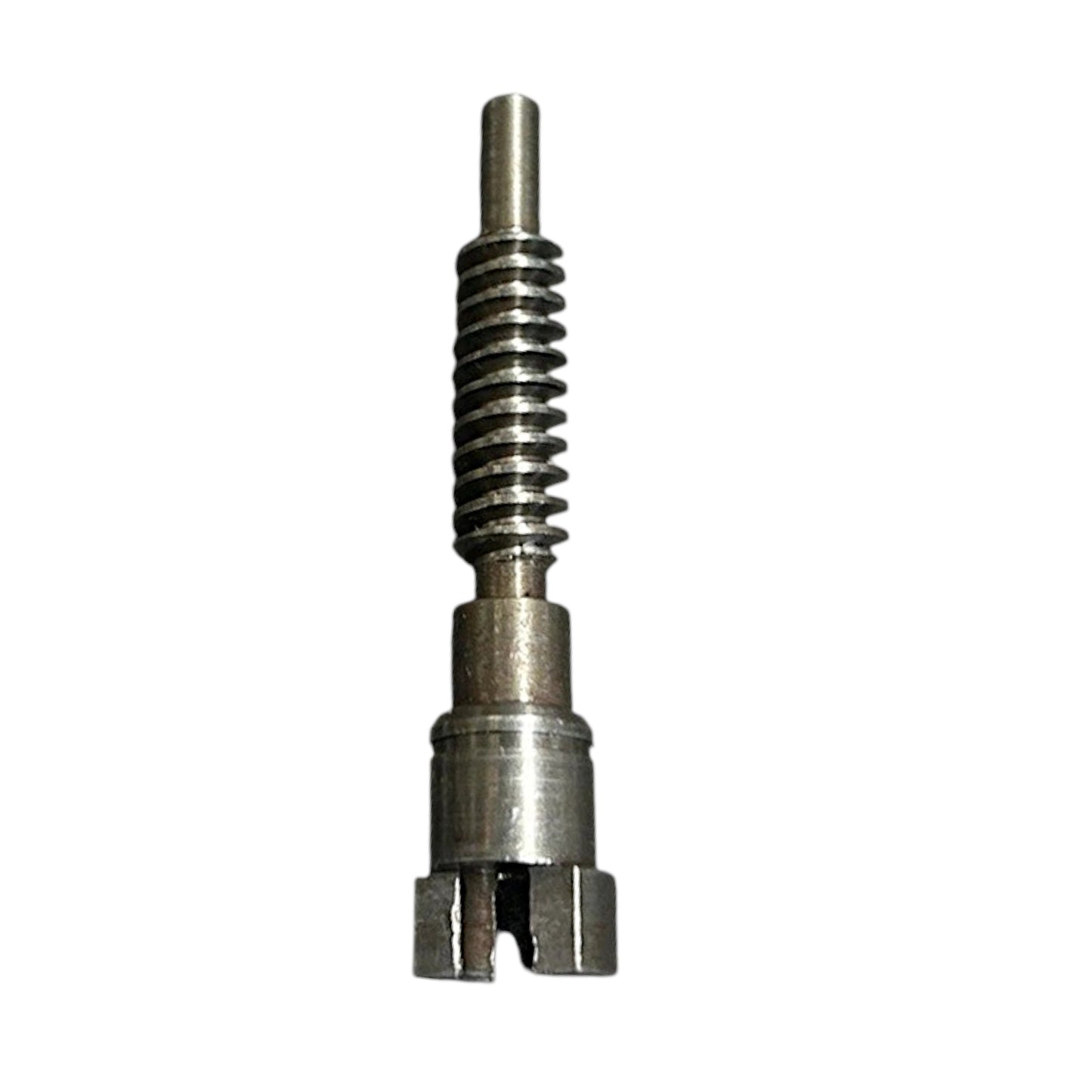 897663 - Worm