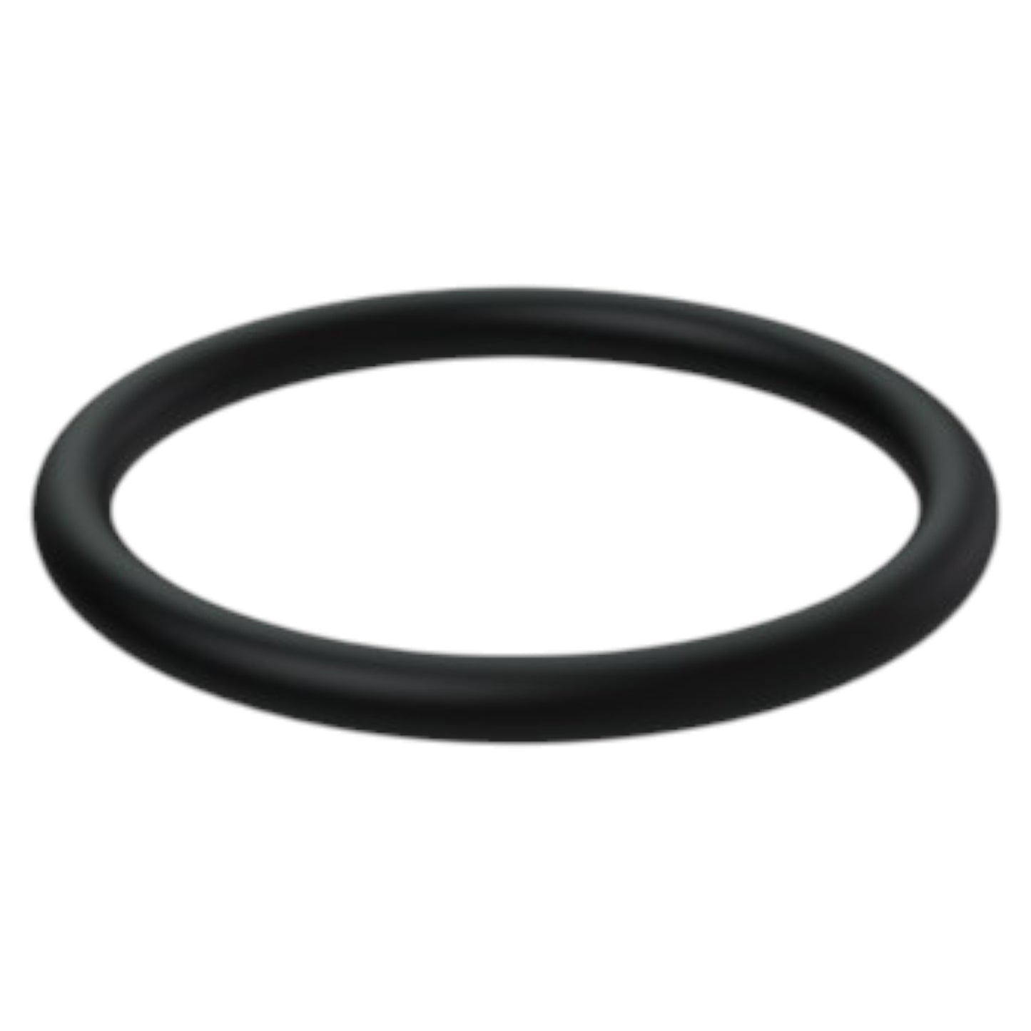 975665 - O-Ring