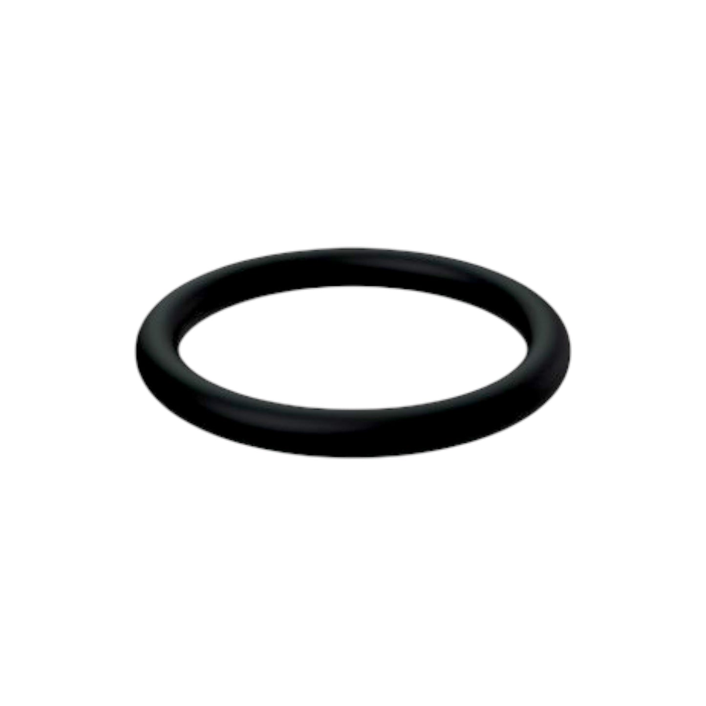 21232792 - O-Ring