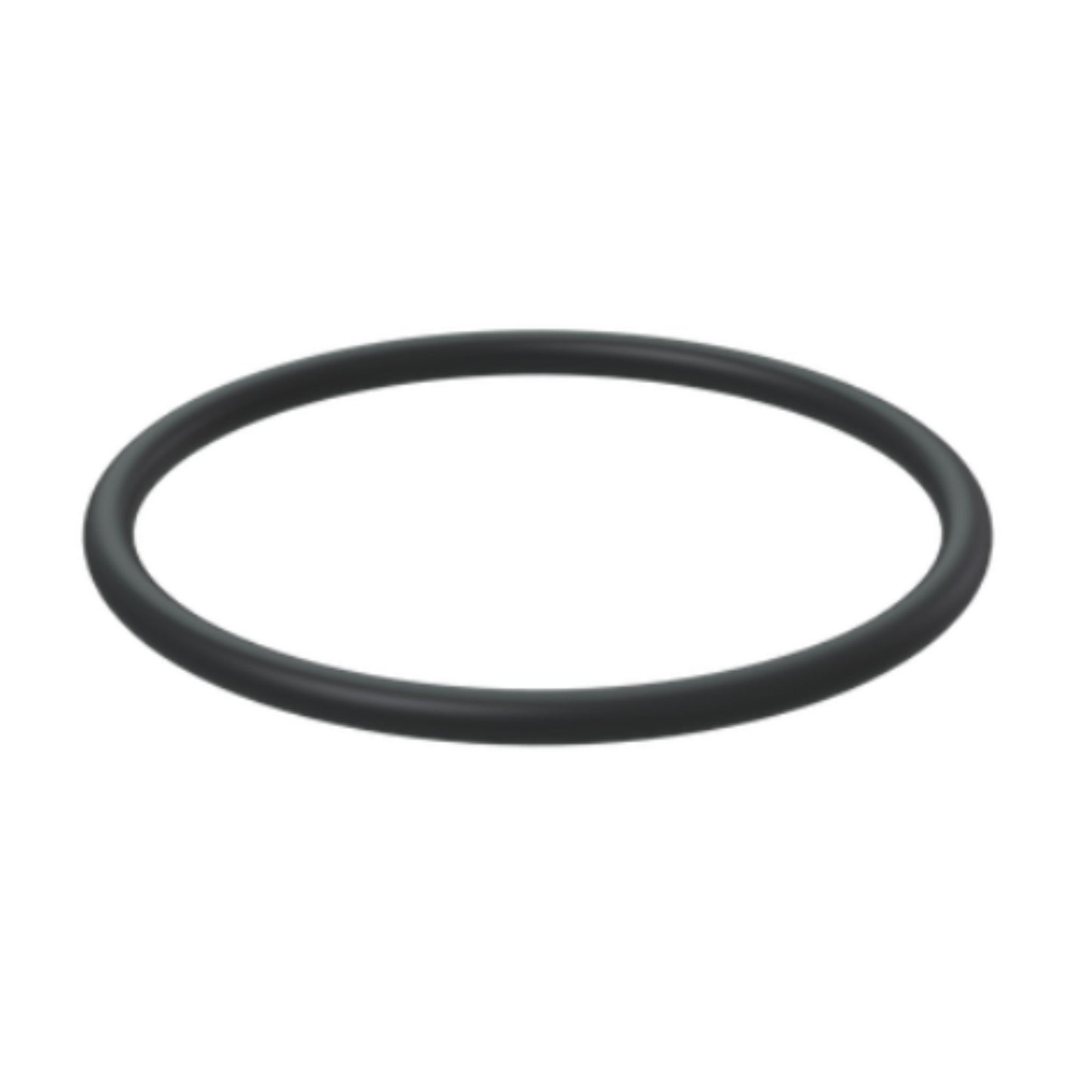 976507 - O-Ring