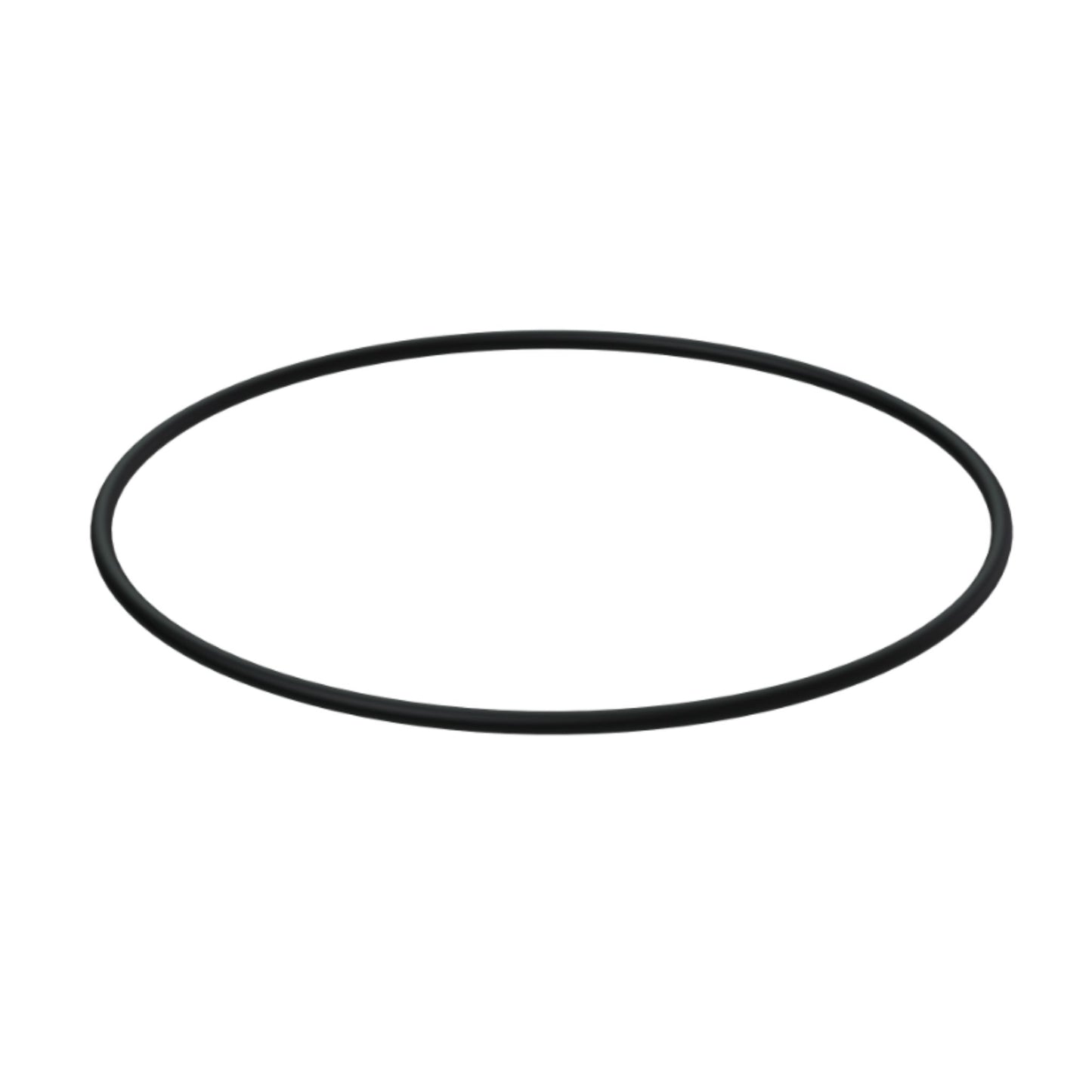 992065 - O-Ring