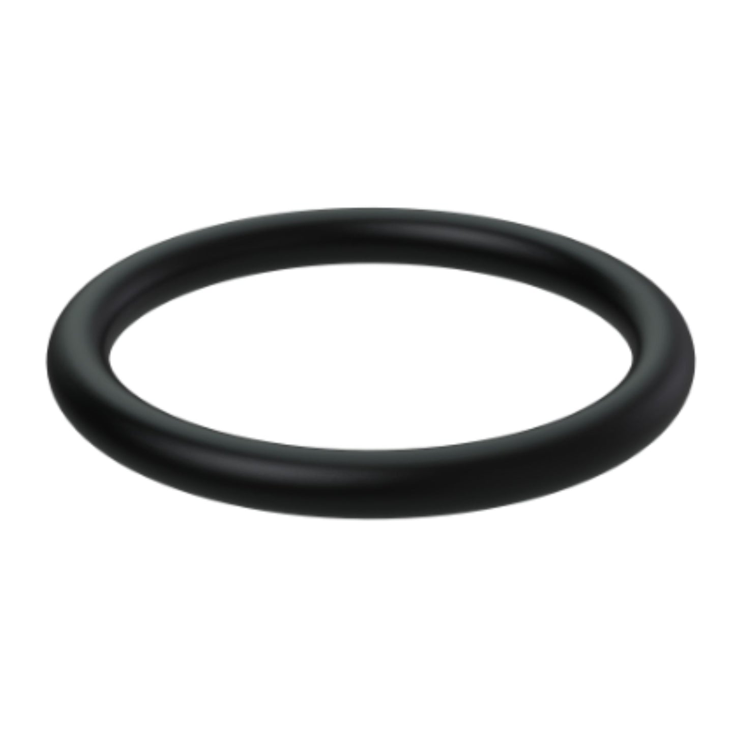 838821 - O-Ring