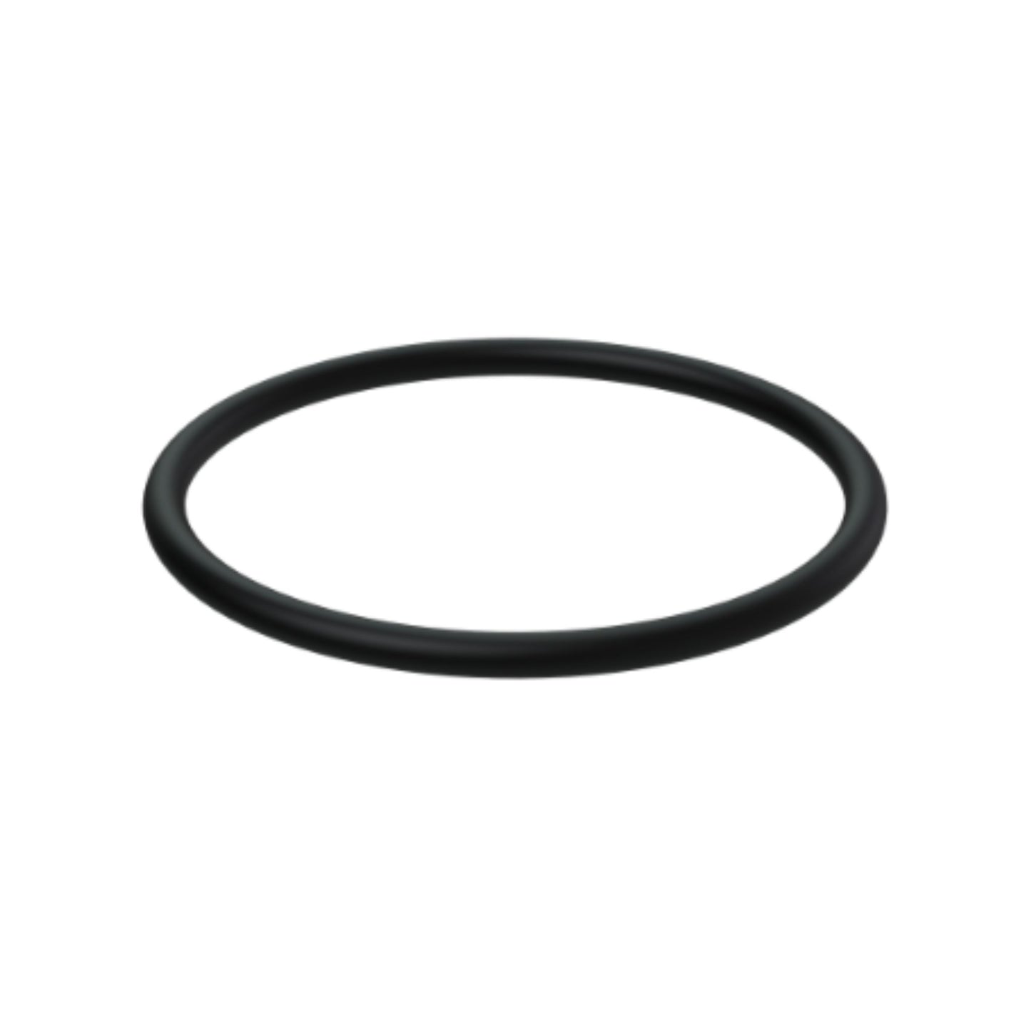 956000 - O-Ring