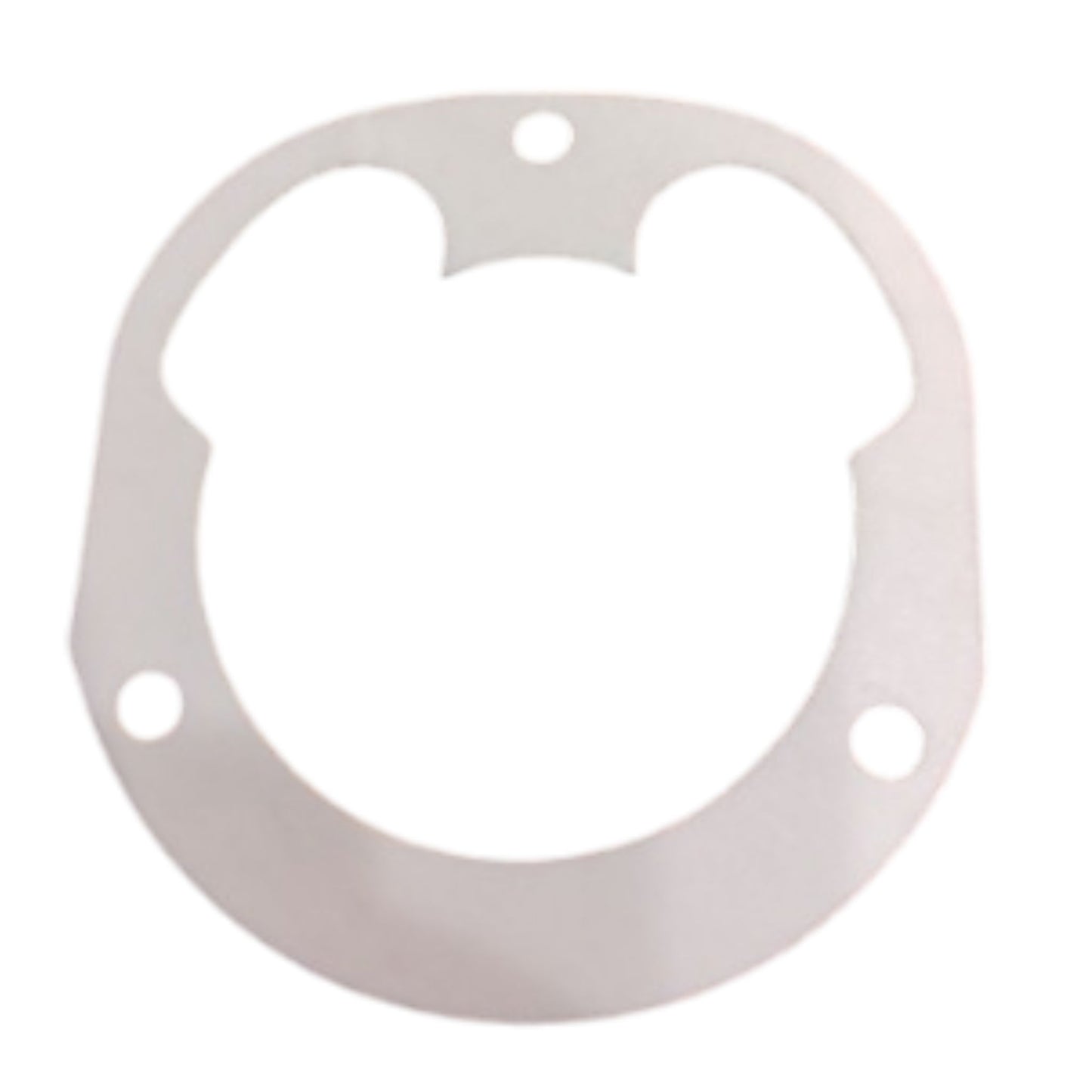 3851702 - Gasket