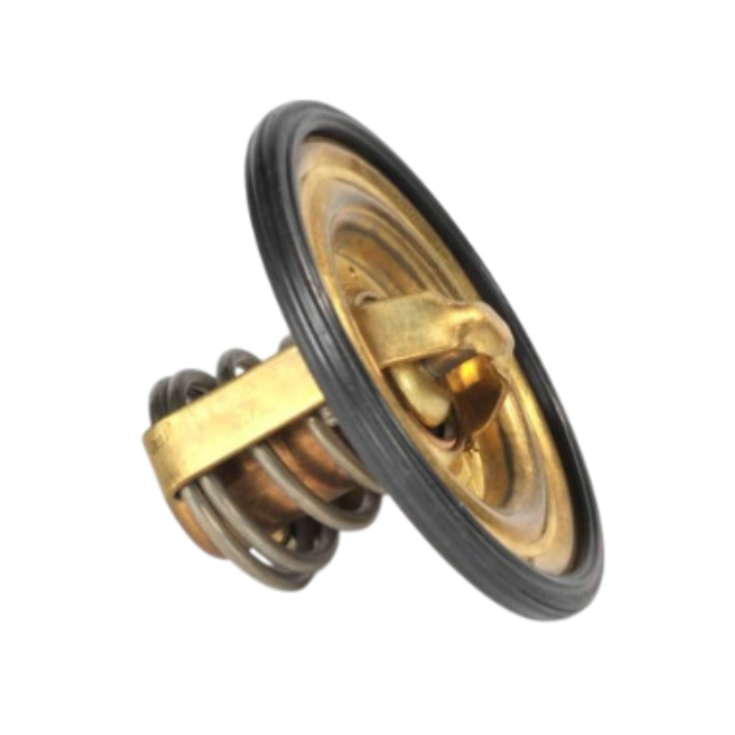 875780 - Thermostat Kit