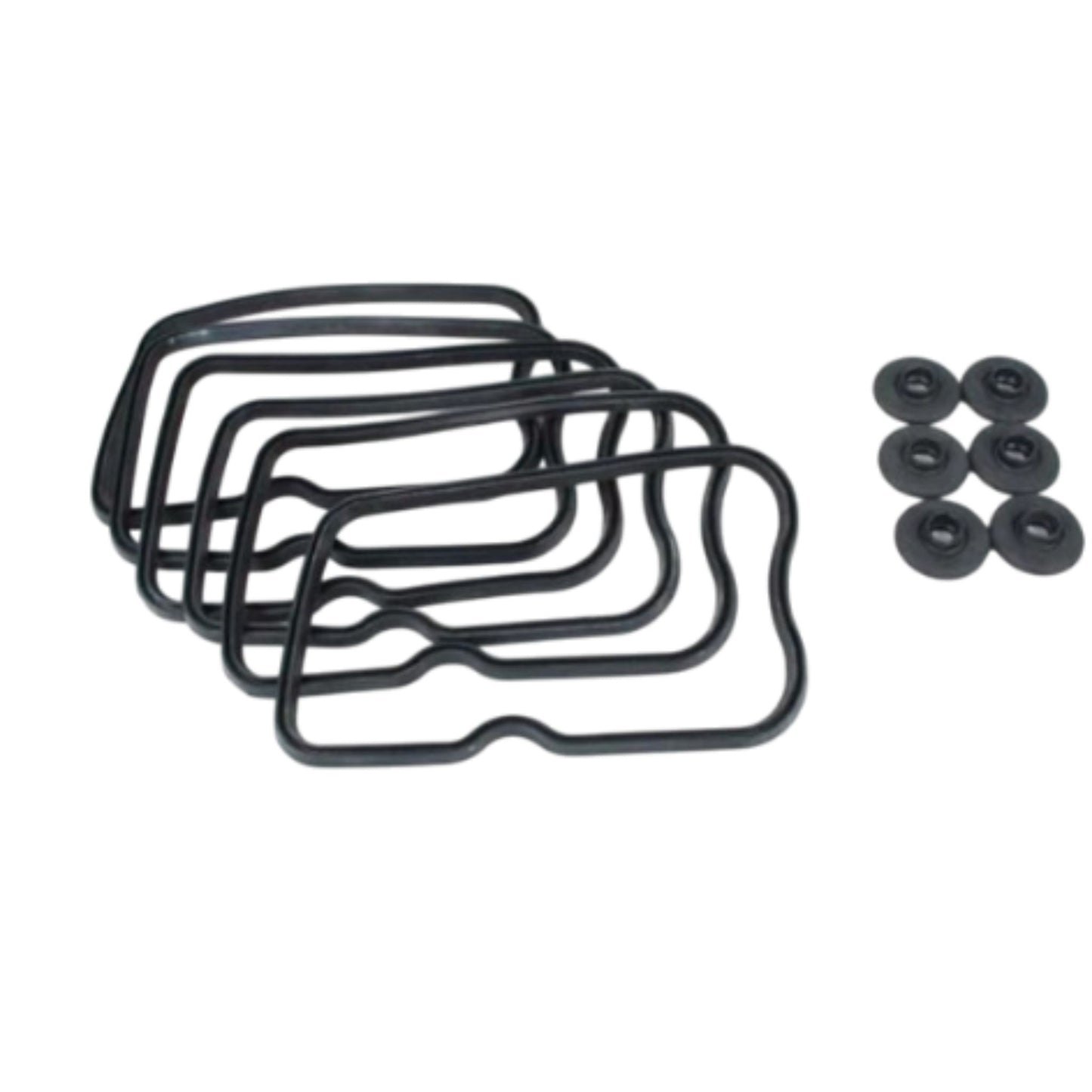 876839 - Gasket Kit