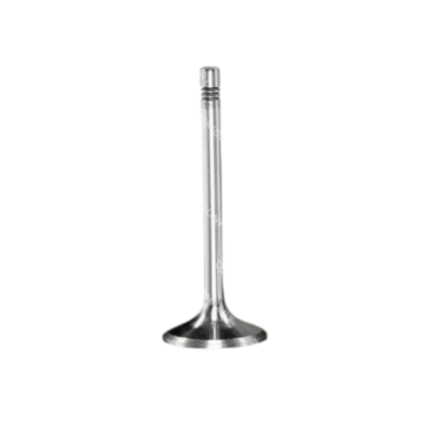 1556896 - Exhaust Valve