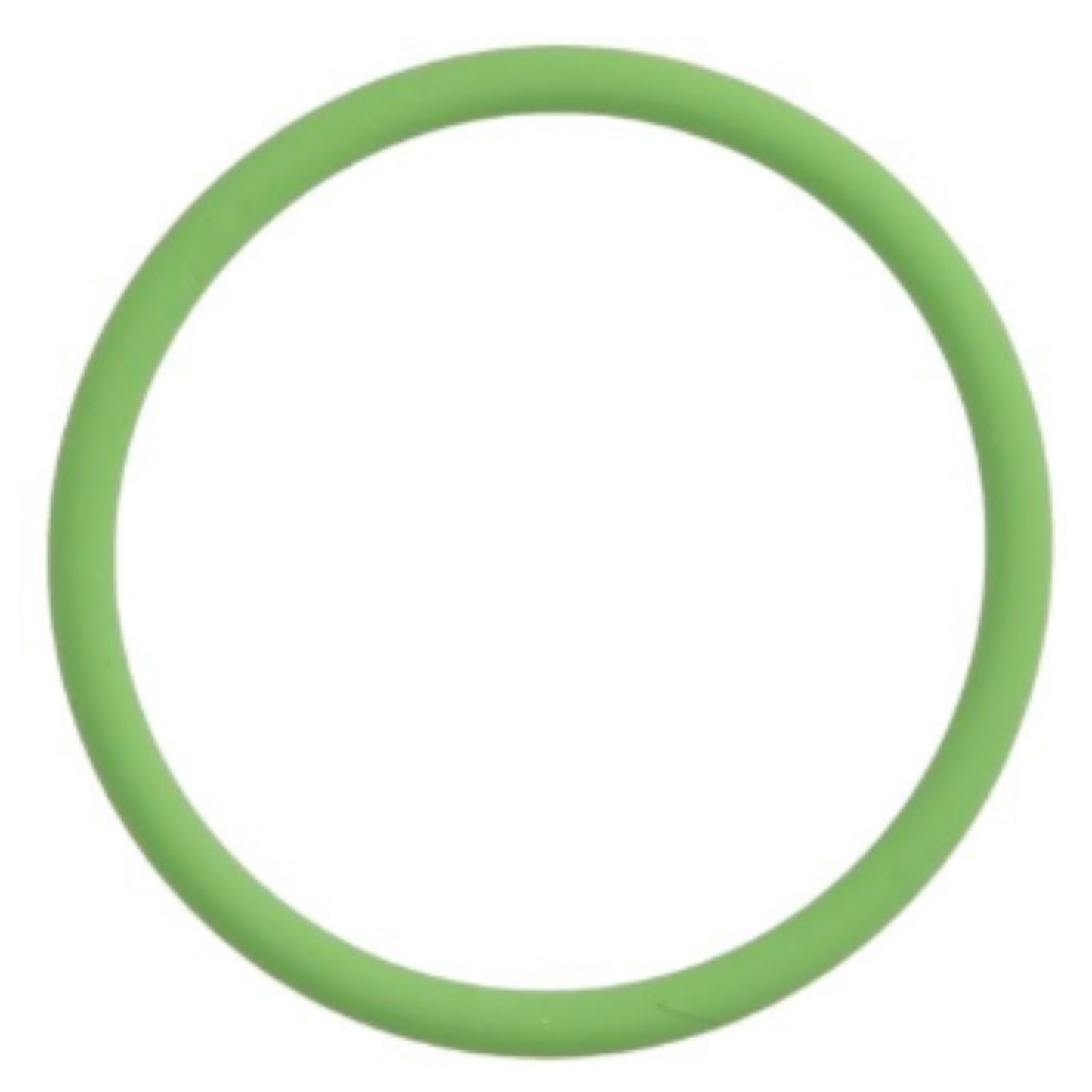 20405822 - O-Ring