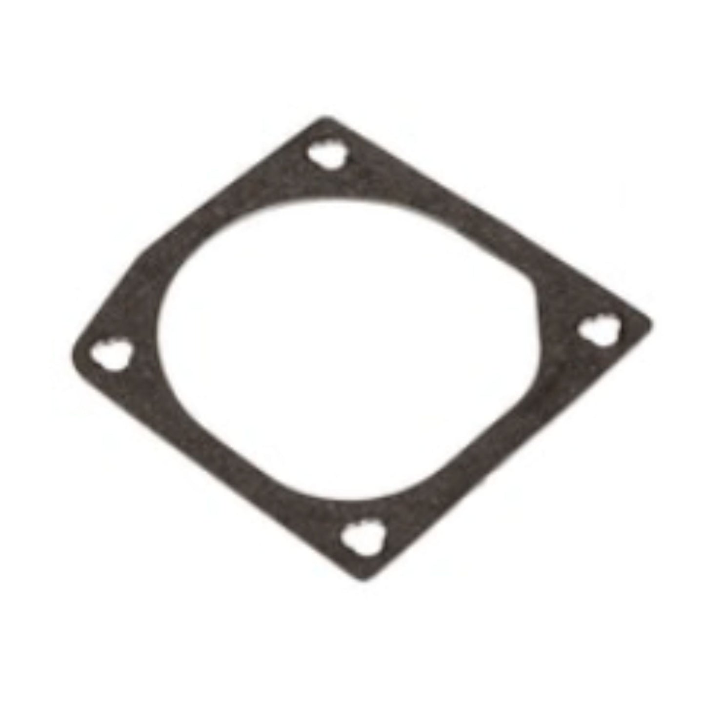 20459226 - Intake Gasket