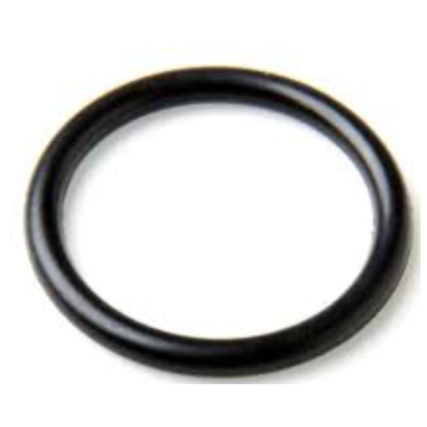 20799119 - O-Ring