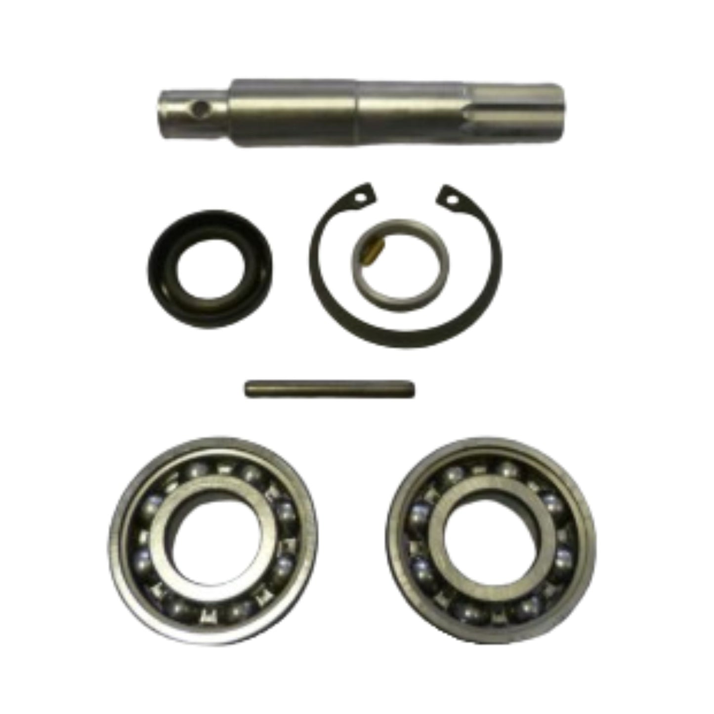 21951431 - Shaft Kit