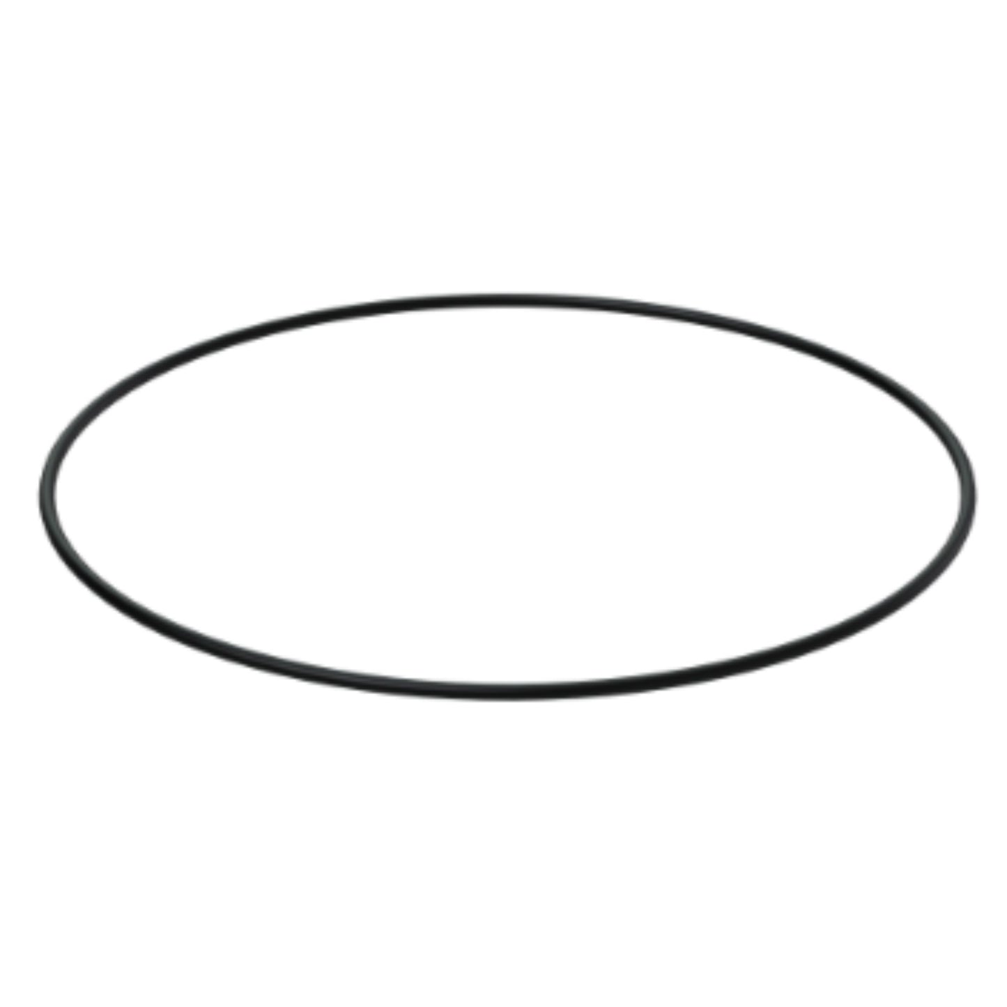 22229031 - Rubber Ring