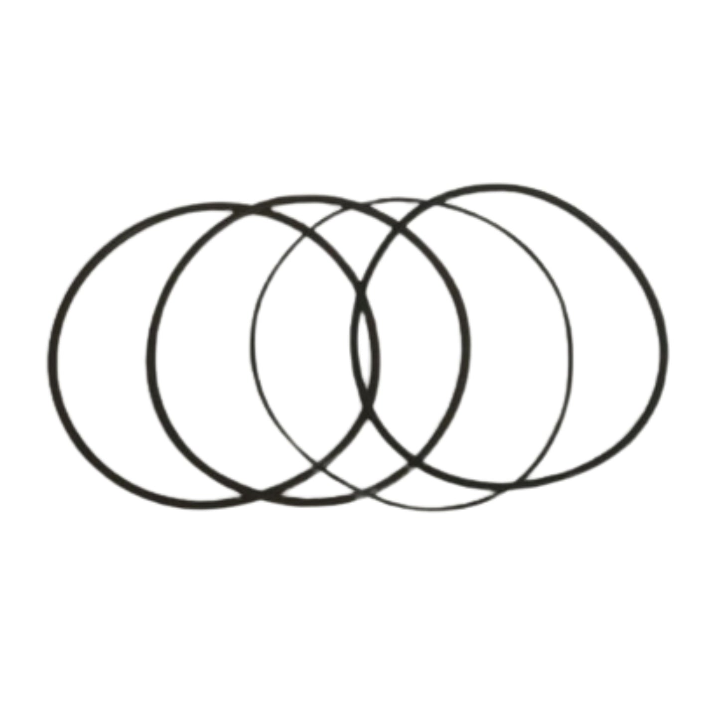 275751 - Sealing Ring Kit