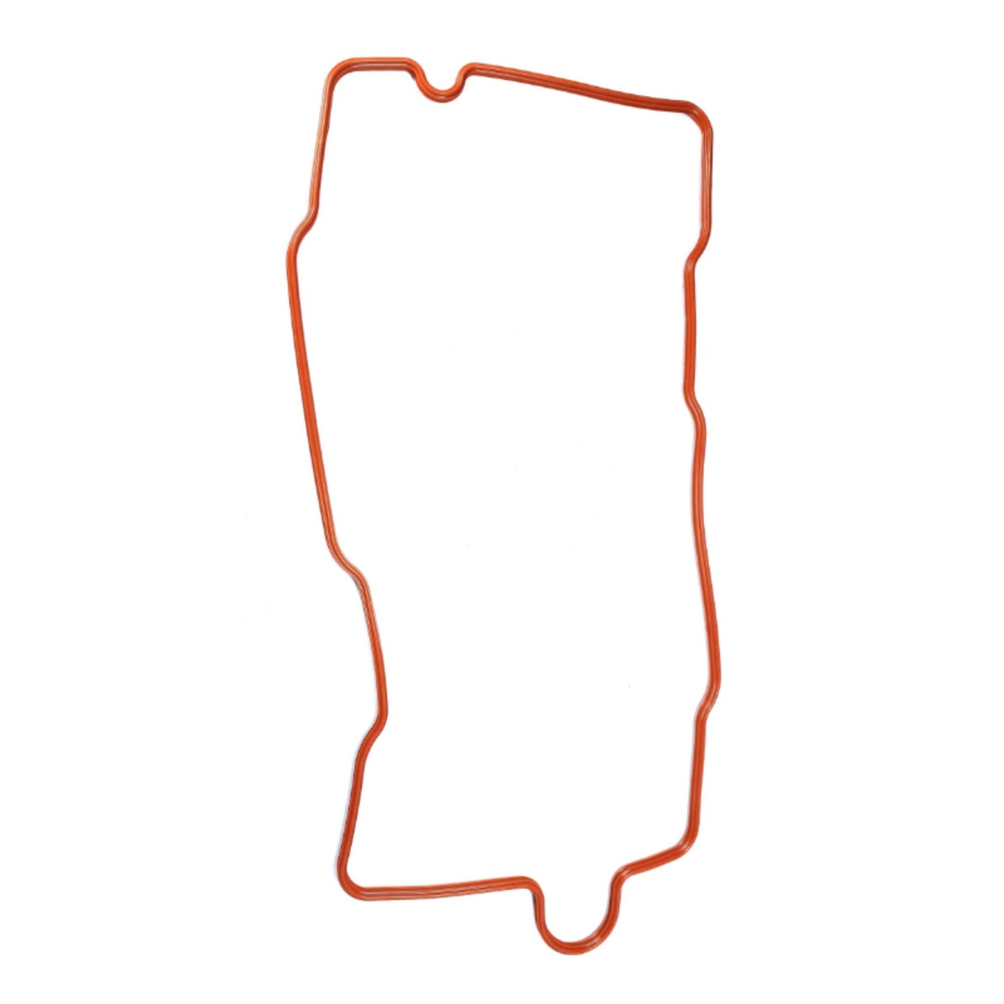 3858960 - Intake Gasket