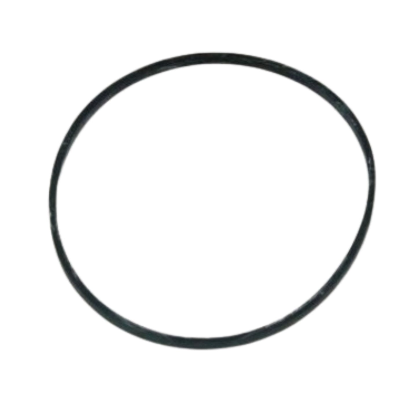 420213 -Sealing Ring
