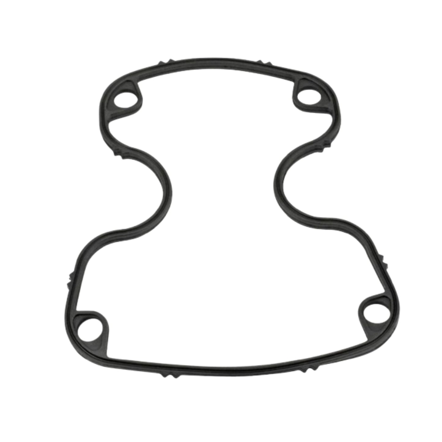 424693 - Gasket