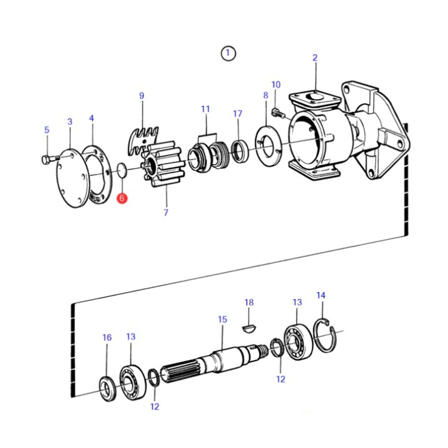 812966 - Spline Seal