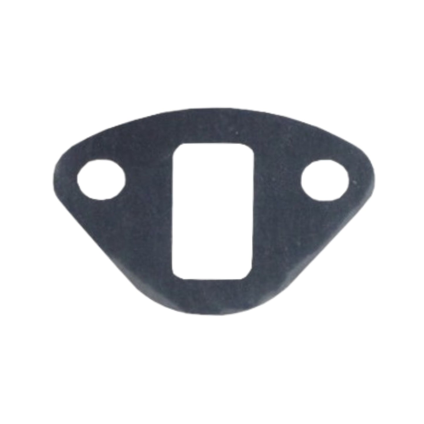 859843 - Gasket
