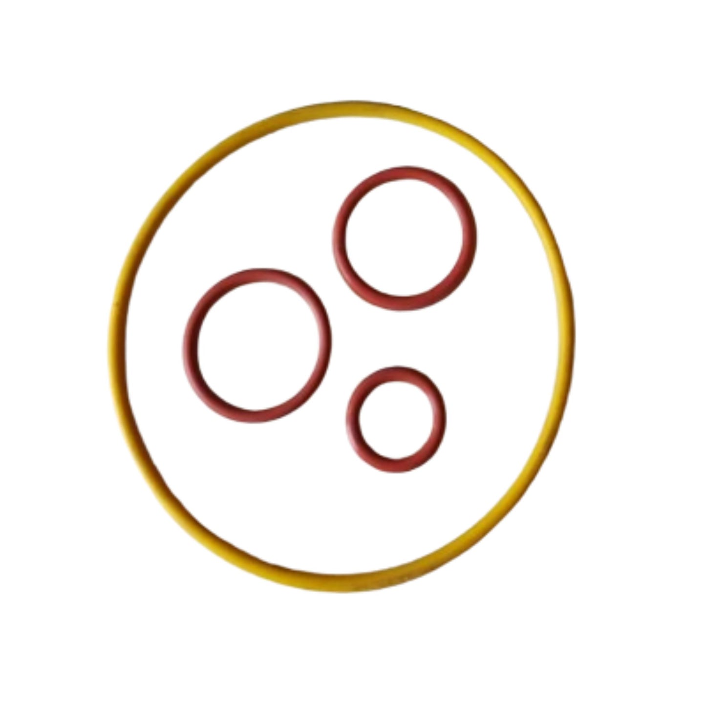 875550 - Sealing Ring Kit