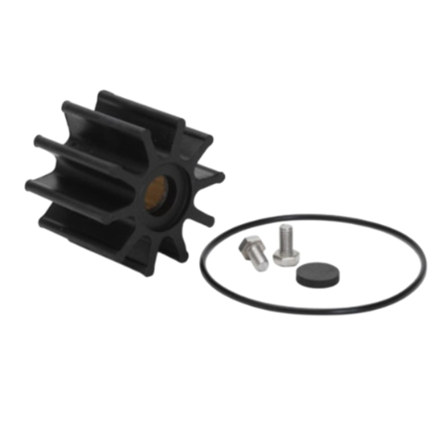 21200961 - Impeller Kit