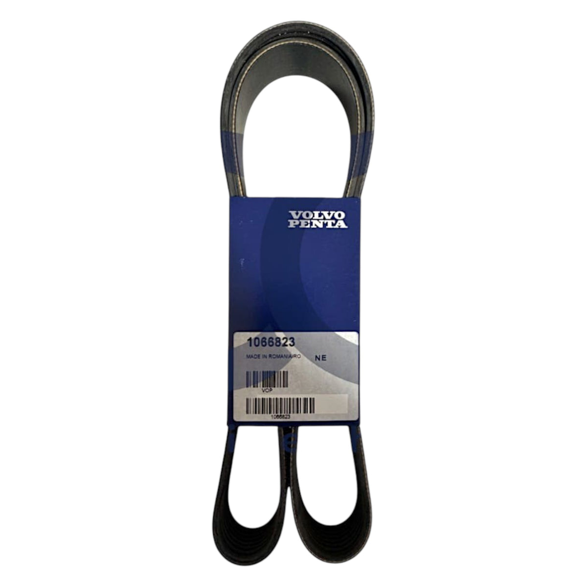 24636031 - V-Ribbed Belt