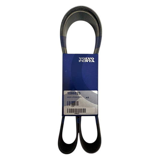 24636031 - V-Ribbed Belt