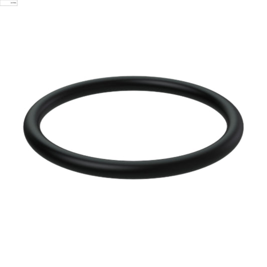 1698692 - O-Ring