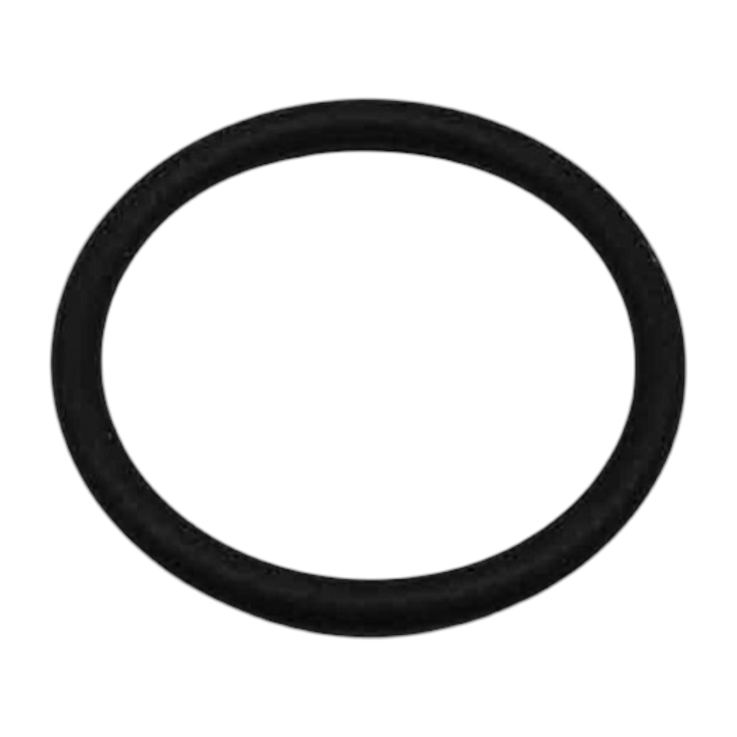 20459193 - O-Ring