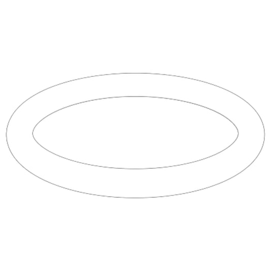 20586720 - O-Ring