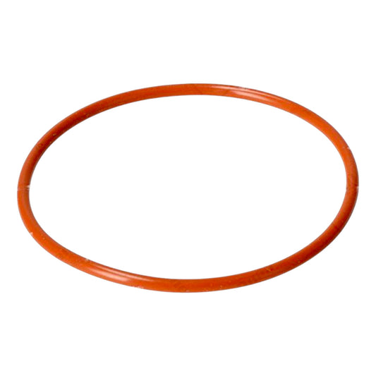 21096684 - O-Ring