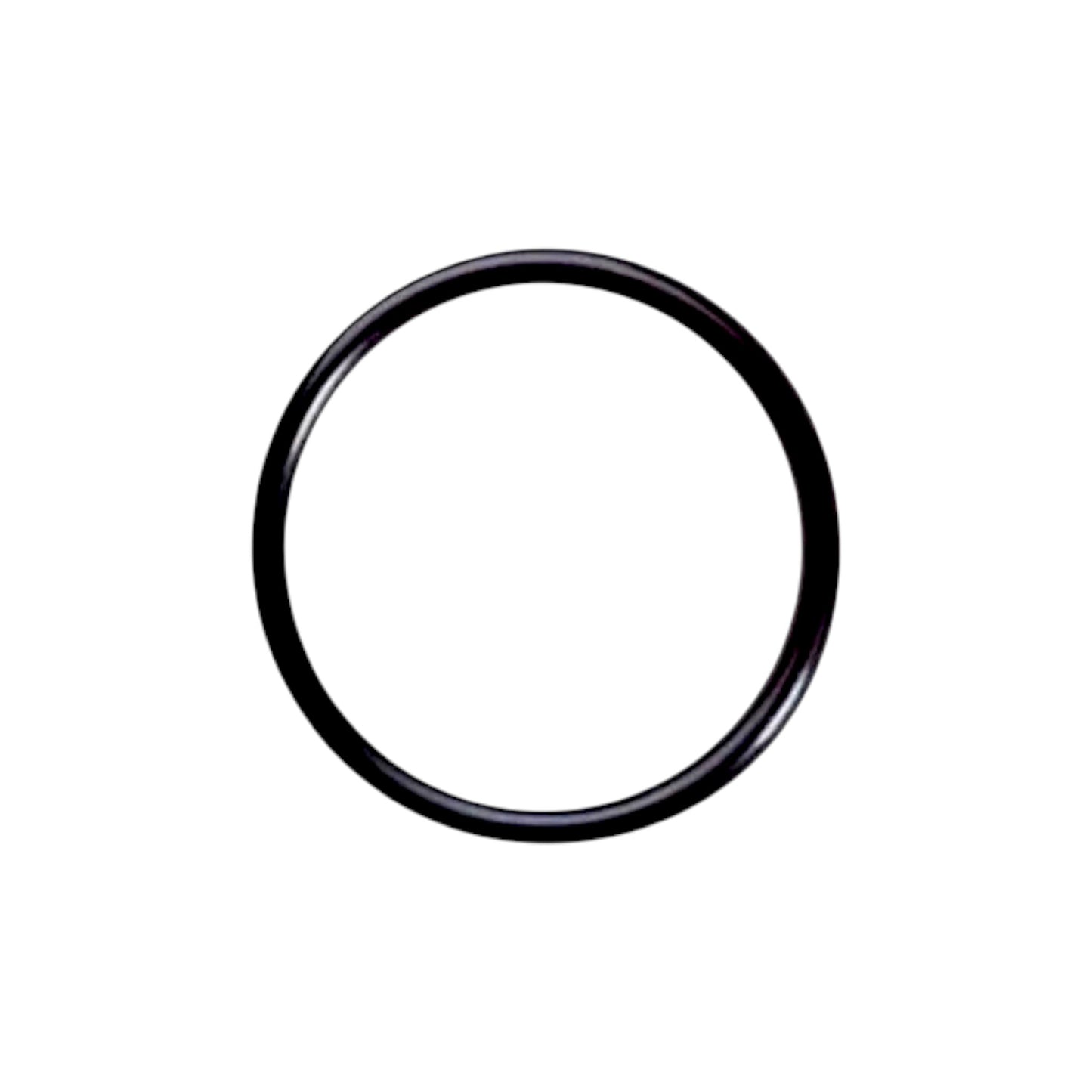 21138584 - O-Ring