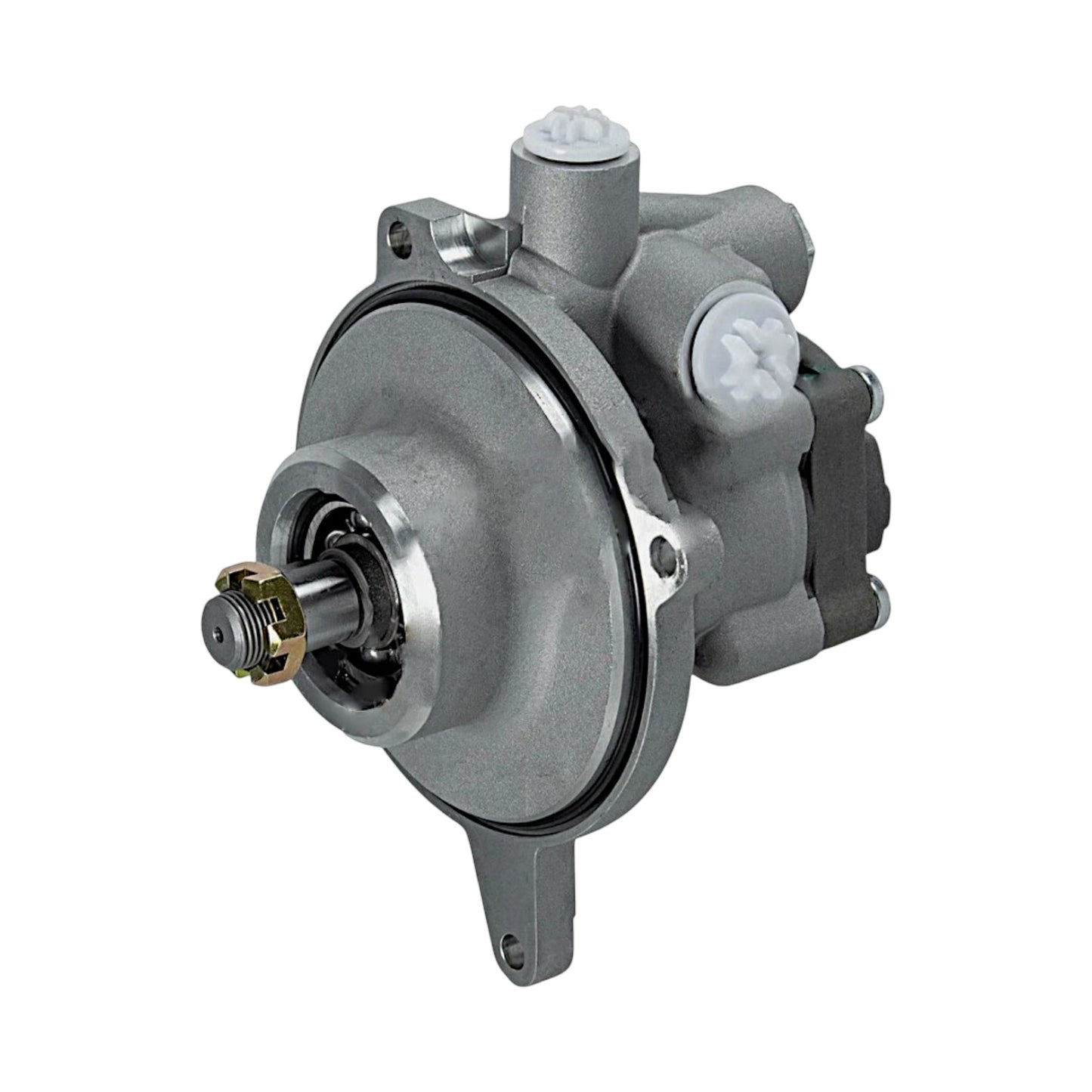 21186657 - Tandem Pump