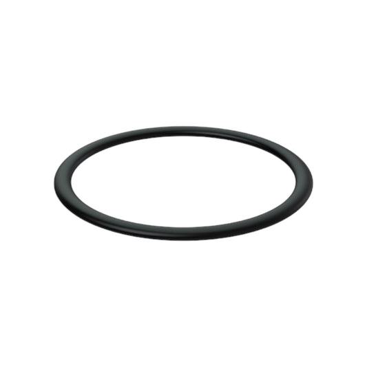 21273476 - O-Ring