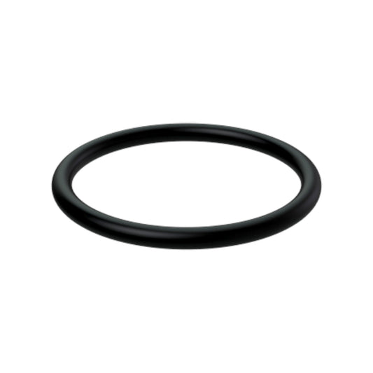 O-Ring - 22675404