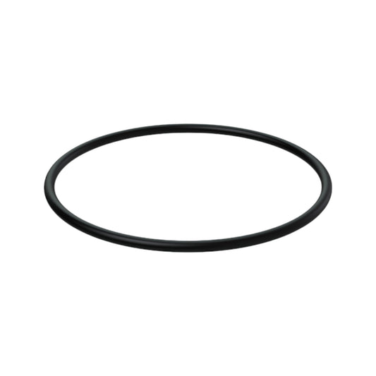 O-Ring - 22916981