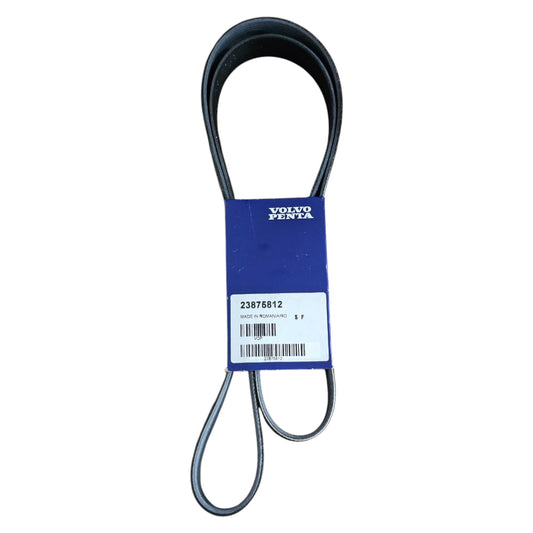 23875812 - V-Ribbed Belt